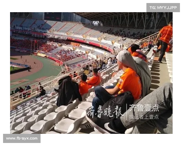 法国球迷看台拼巨幅马赛克,纪念恐袭遇难者 法国球迷看台拼巨幅马赛克,纪念恐袭遇难者